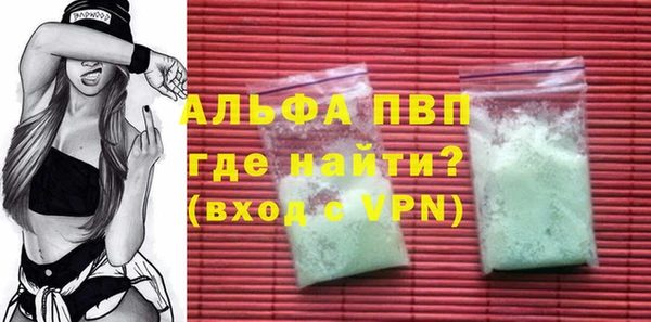 ECSTASY Покачи